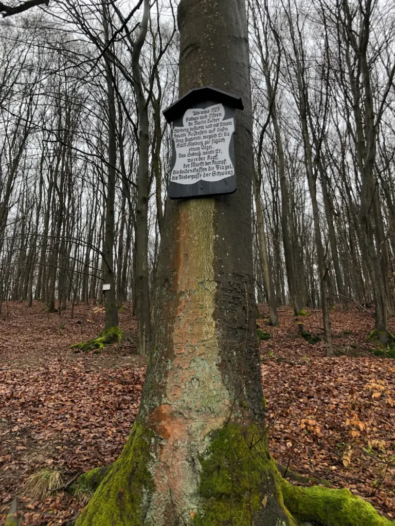 Die restaurierte Tafel an der Lutherbuche – Aufnahme 1