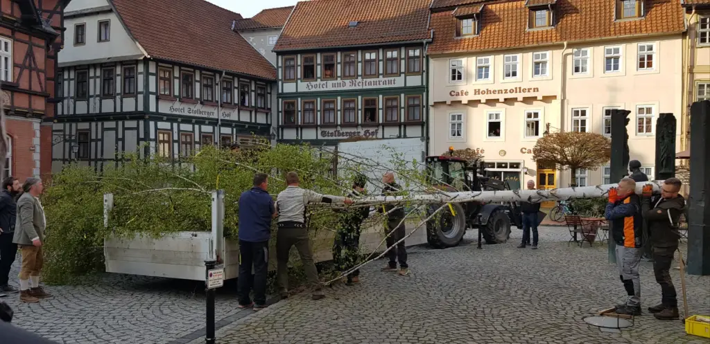 Ein Maibaum für den Stolberger Marktplatz – Aufnahme 1