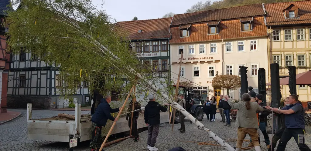 Ein Maibaum für den Stolberger Marktplatz – Aufnahme 3