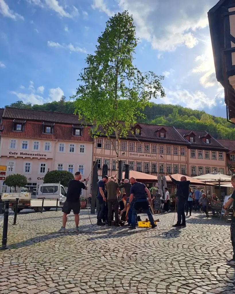 Maibaum 2025: viele helfende Hände – Aufnahme 1